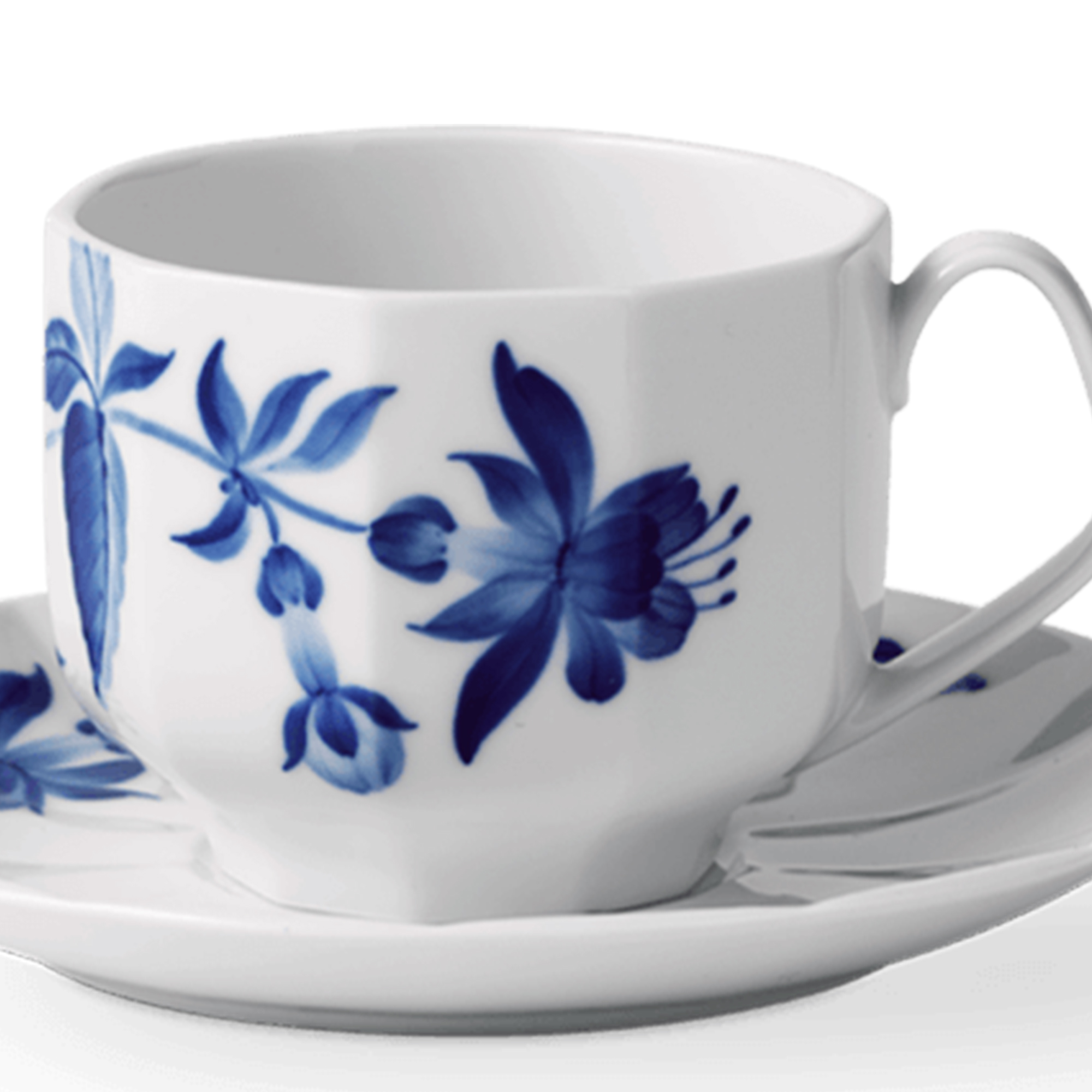 Zoom billed af blomst Kop og underkop - Fuchsia 22 cl